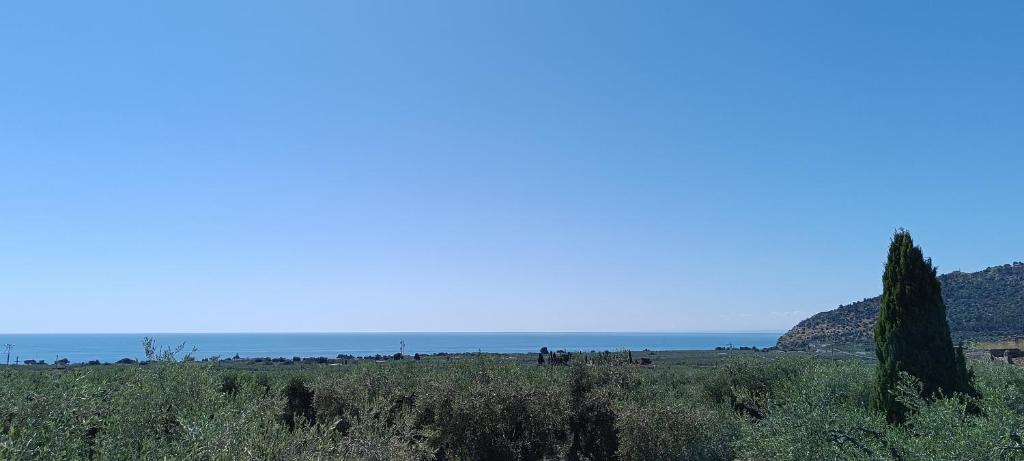 Paesaggio naturale nelle vicinanze del bed & breakfast