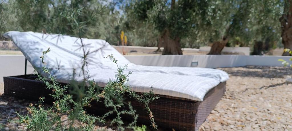 Giardino di B&B Sperlonga