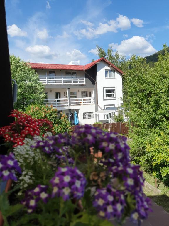 a white building with flowers in front of it at Casa David in Buşteni