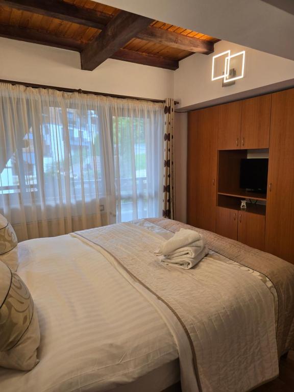 a bedroom with a large bed with a tv on it at Pensiunea Eliza in Sinaia