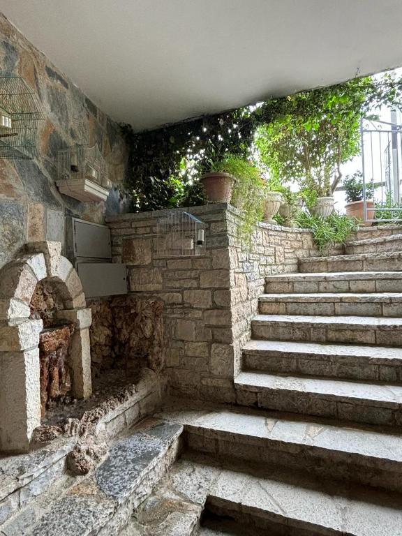 Gambar di galeri bagi Guest House Adi Hoxha di Berat