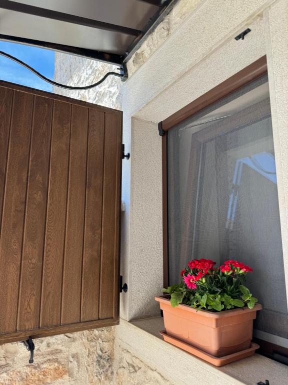 Fotografie z fotogalerie ubytování Apartman Ajhner v destinaci Tar