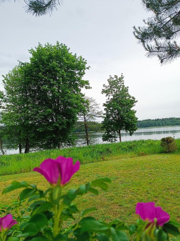 Príroda v okolí dovolenkového domu