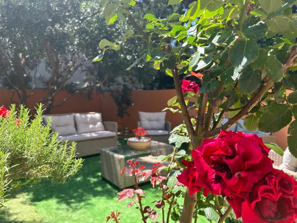 Zahrada ubytování Villa Kiki