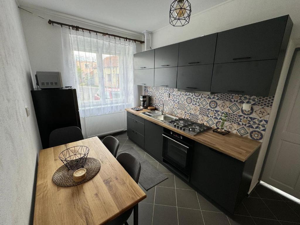 Kuchyň nebo kuchyňský kout v ubytování Apartmán u Šenků