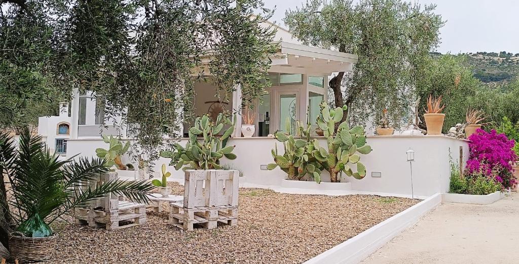 una casa bianca con molte piante e alberi di B&B Sperlonga a Mattinata