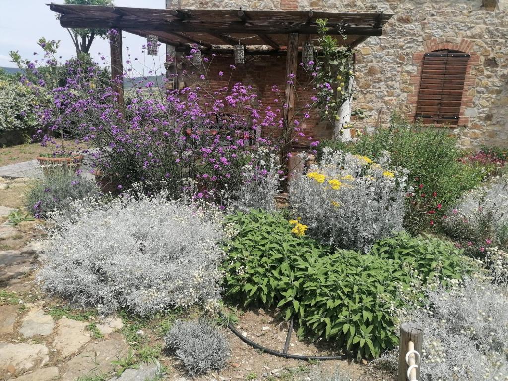 Zahrada ubytování Affitti Brevi Toscana - Ospitalità in Campagna