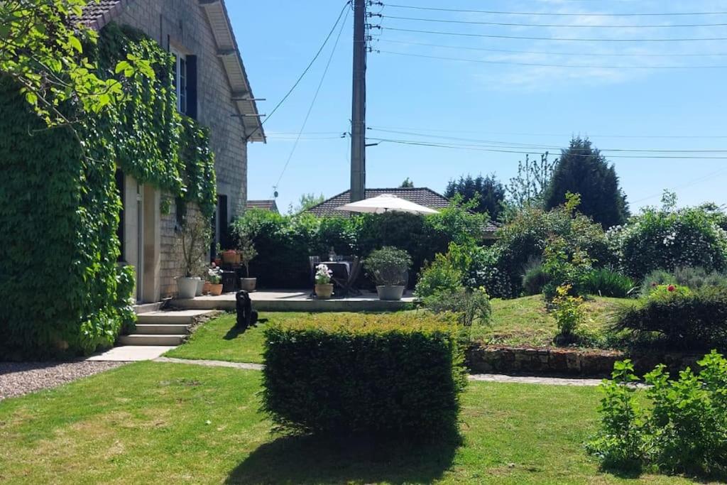 un jardin avec un chat assis sur l'herbe dans l'établissement Maison ancienne de 170 m2, à Margny-lès-Compiègne