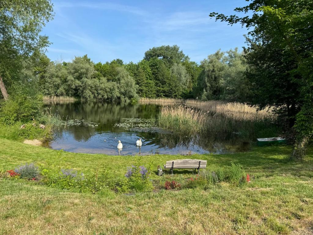 a park bench in front of a pond with two birds at Bauwagen Gnubbel am Jahnteich in Weißwasser