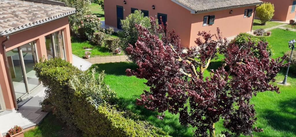 an aerial view of a house with a garden at Agriturismo Agrifoglio in Capalbio