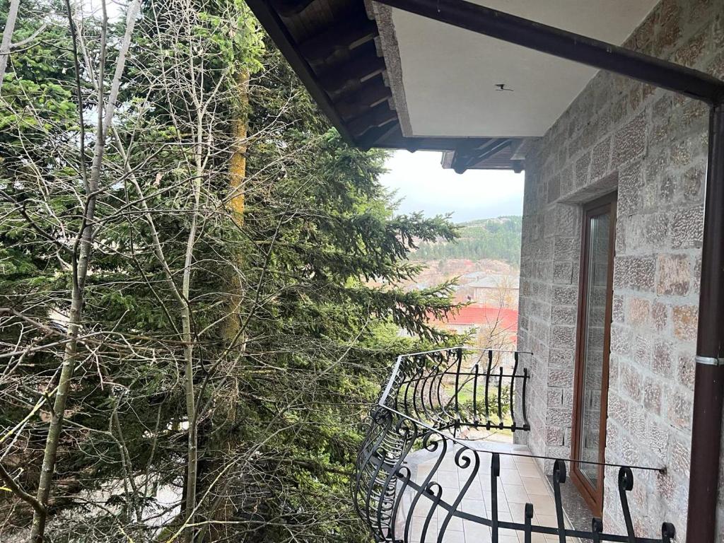 Příroda nedaleko hotelu