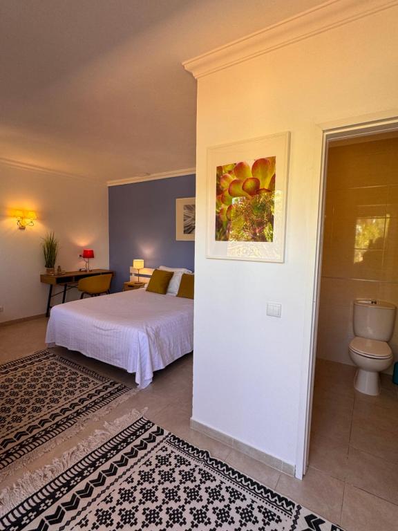 Casa Concha - Peaceful and Relaxing - 11