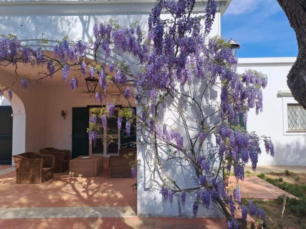 una corona de flores púrpuras colgando de una pared en Villa Francesca - Camere con giardino, en Castellaneta