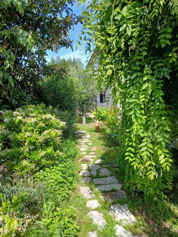 un chemin de jardin avec des rochers, des arbres et une maison dans l'établissement Appartement indépendant privatif avec jardin, à Le Crès
