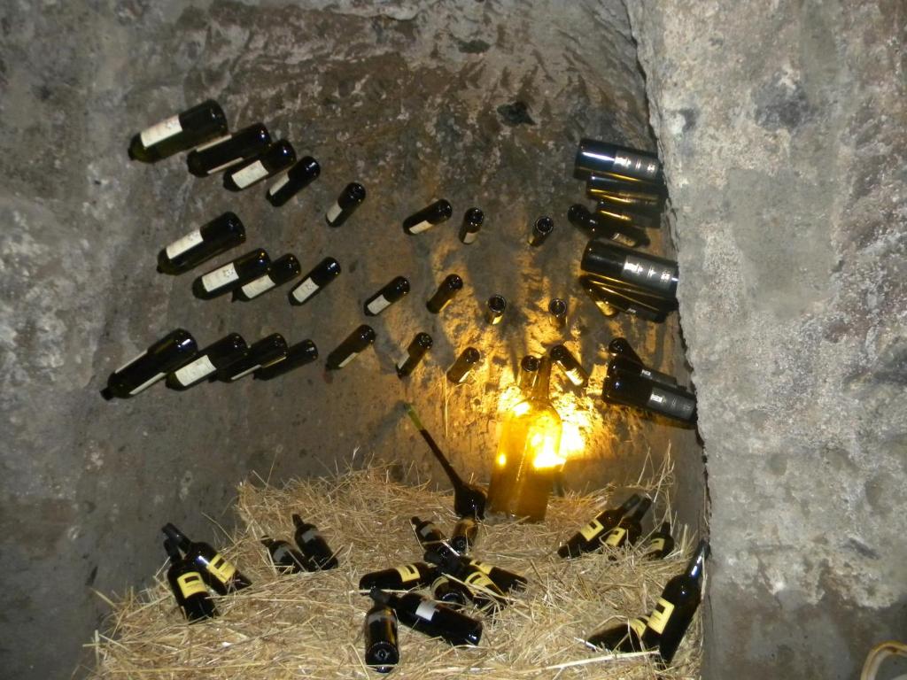 Fotografia z galérie ubytovania Agriturismo La Colombaia v destinácii Capua