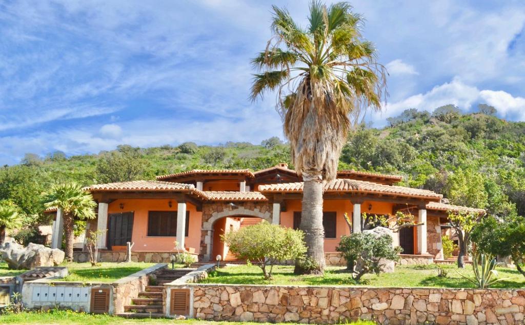 palma przed domem w obiekcie ISS Travel, Panoramic Coda Cavallo Cottages - 10 km from San Teodoro w mieście San Teodoro