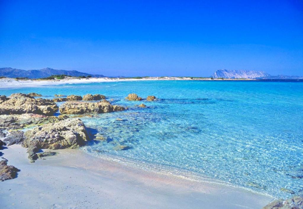 a beach with rocks and the blue water w obiekcie ISS Travel, Panoramic Coda Cavallo Cottages - 10 km from San Teodoro w mieście San Teodoro