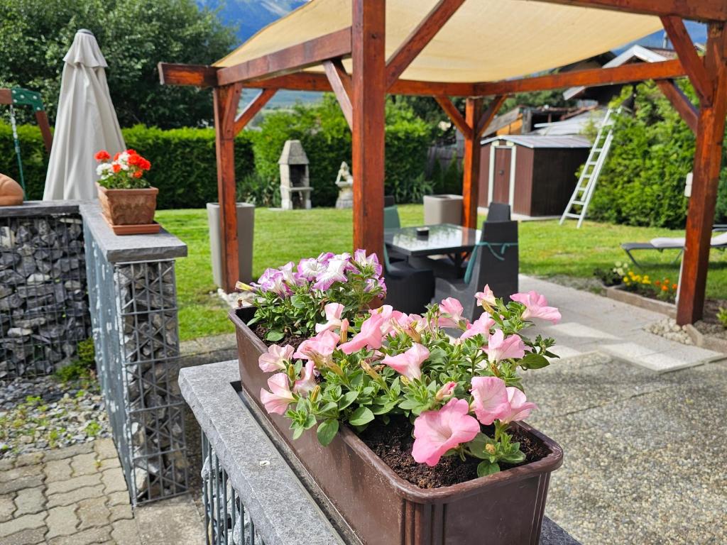 Apro的住宿－Chez Gigi，石墙上的一盆粉红色的花
