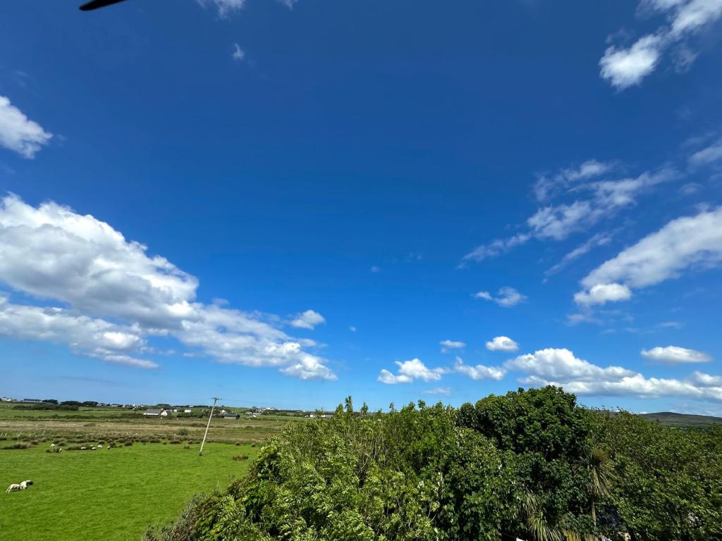 a field with trees and a blue sky with clouds at Whitestrand B&B in Malin Head