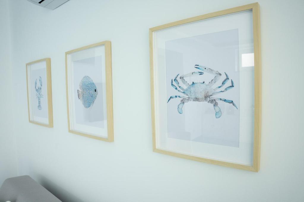 Fotografie z fotogalerie ubytování Aria - Suite in Capri v Capri