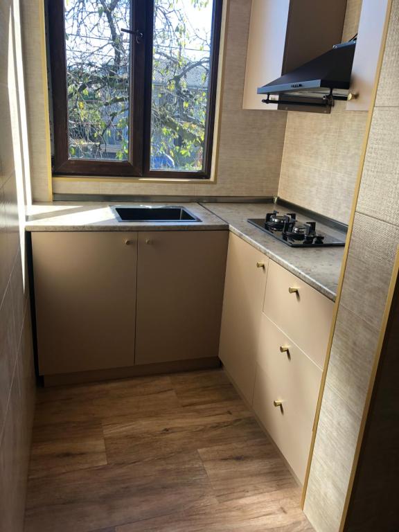Kuchyň nebo kuchyňský kout v ubytování Vakho house