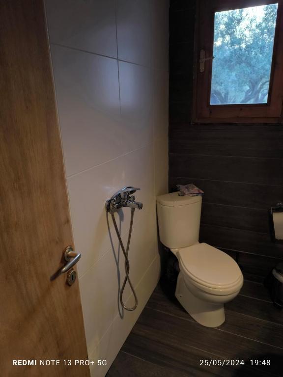 Koupelna v ubytování Mountain House Paliouras