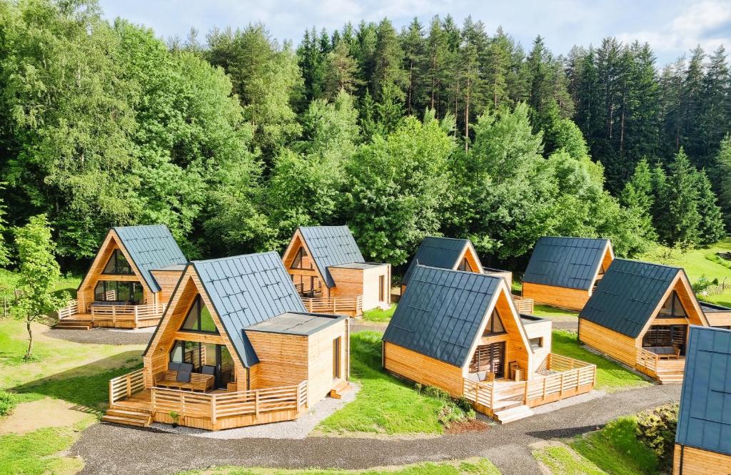 an aerial view of a group of wooden homes at Mountains & Lakes - Chaletdorf in Villach