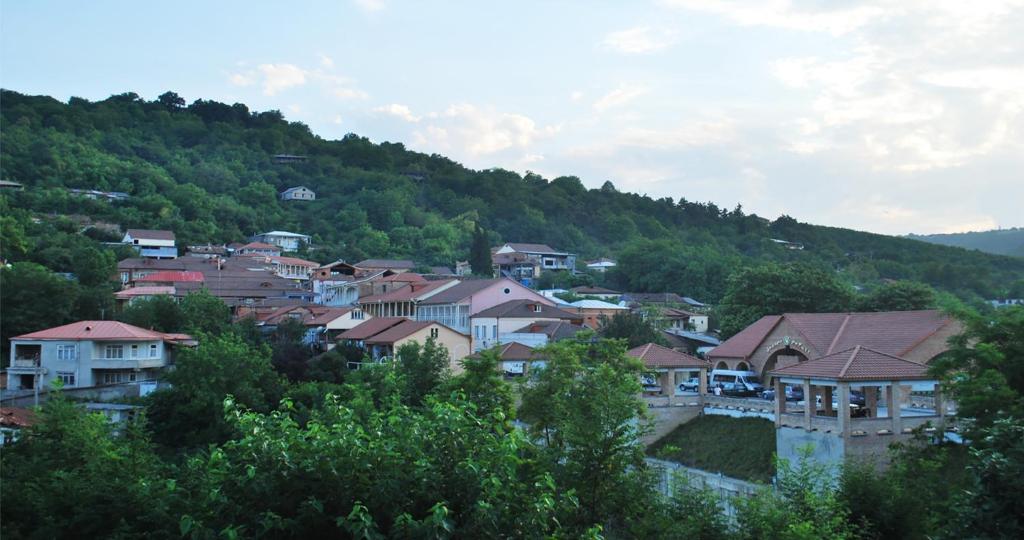 Příroda nedaleko penzionu