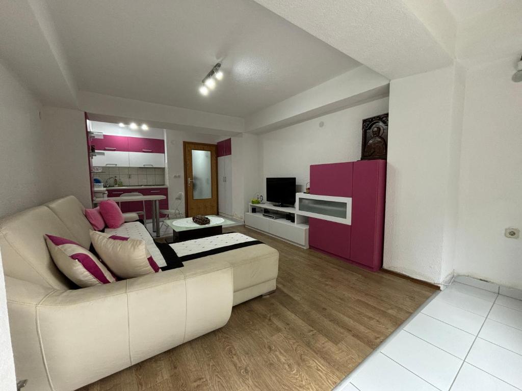 Μια τηλεόραση ή/και κέντρο ψυχαγωγίας στο Martin Apartments Ohrid