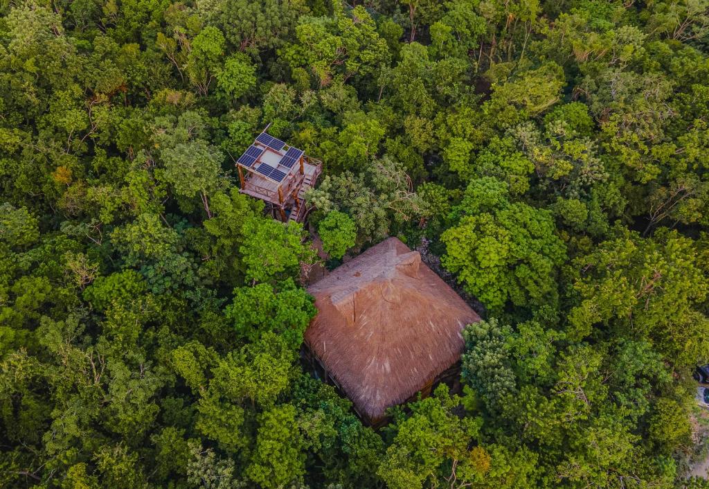 eine Luftansicht eines Hauses im Wald in der Unterkunft Treehouse Tulum H2Ojos in Tulum
