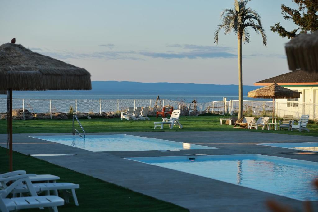 - une piscine avec des chaises, un palmier et l'océan dans l'établissement Hotel La Roche Pleureuse, à L'Isle-aux-Coudres