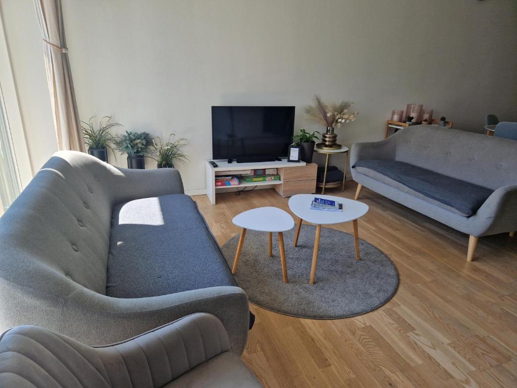 a living room with two couches and a tv at A charming apartment in the heart of Copenhagen in Copenhagen