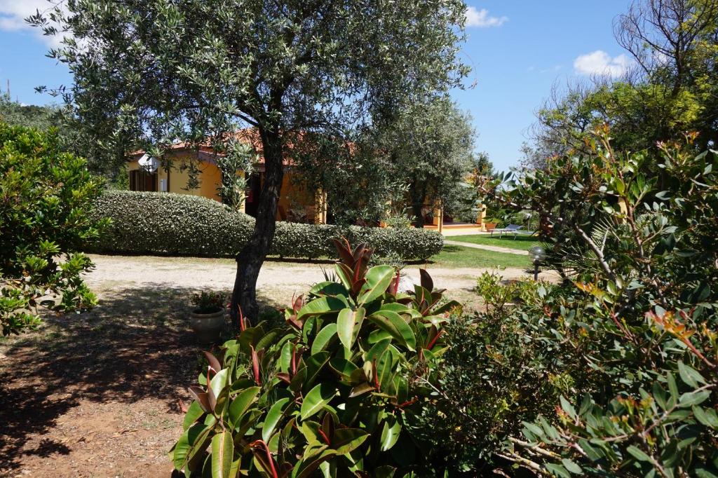 a garden with trees and bushes and a building at Villa Rosanna in Alghero