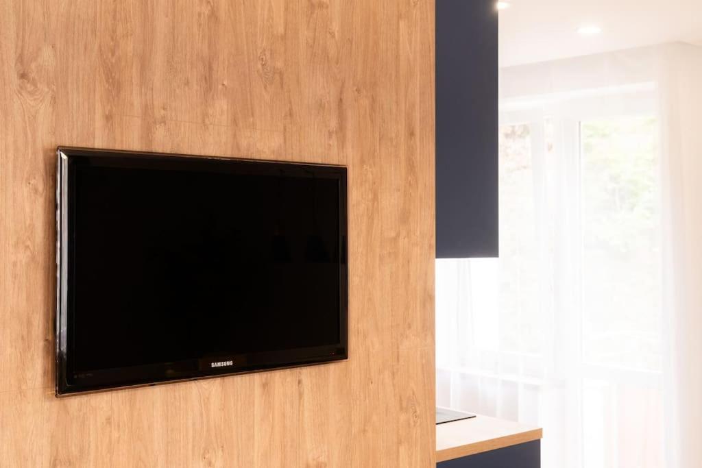 TV a/nebo společenská místnost v ubytování Family Apartment Grohova