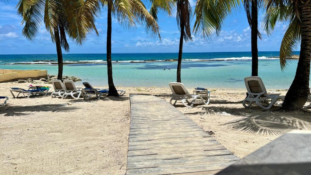 a wooden path on a beach with chairs and palm trees at Coco and sun Hibiscus Le Manganao in Belle-Allée
