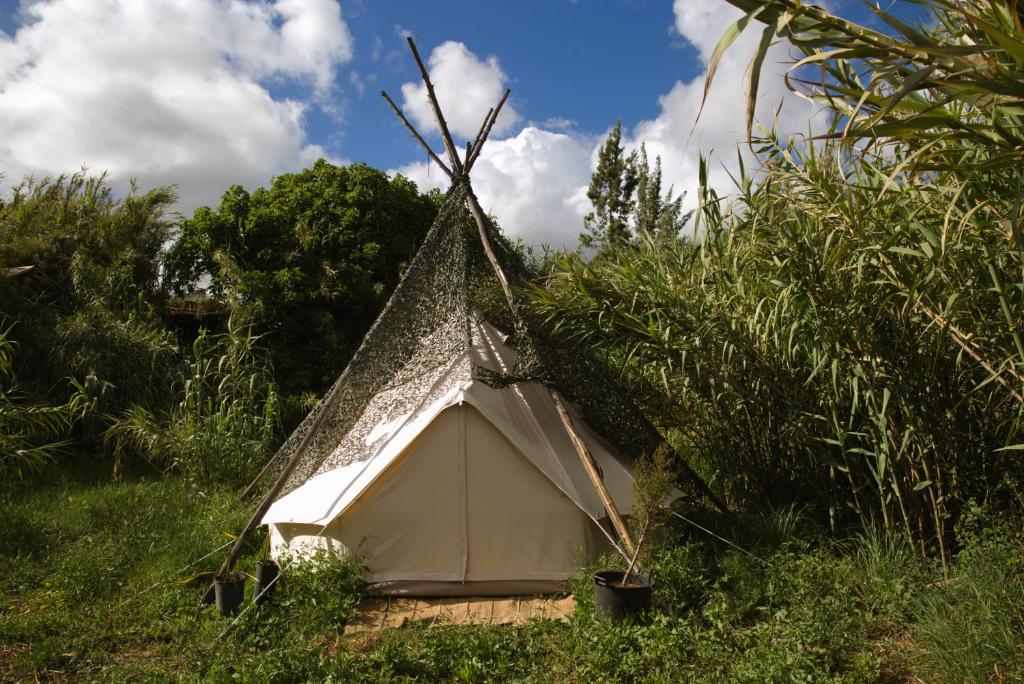 Příroda nedaleko luxury tent