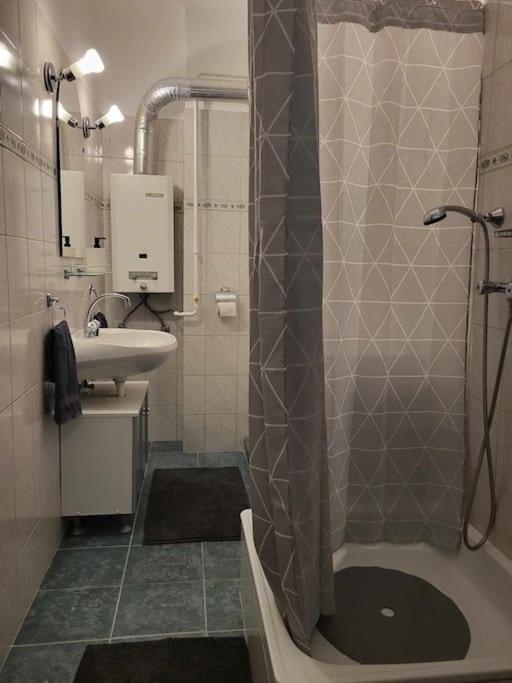 Koupelna v ubytování Tornyai Apartman