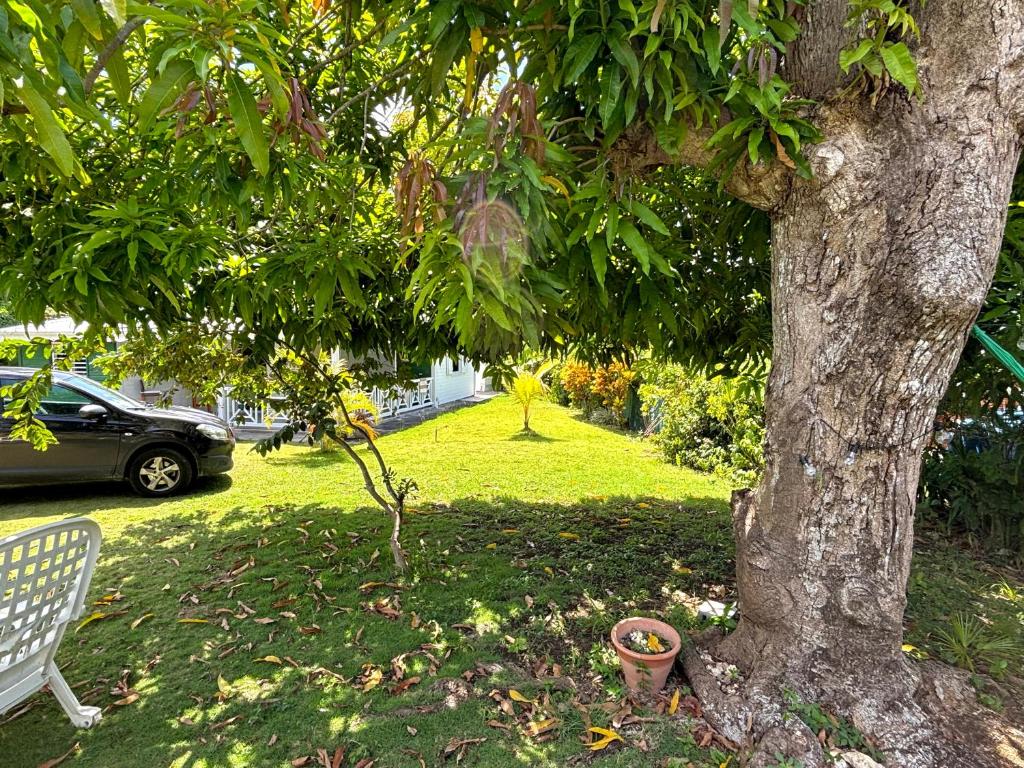 Zahrada ubytování La Maison Créole du Flamboyant - Proche des Plages