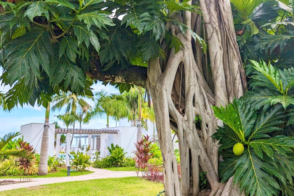 Tehani Beach - photo 10 - Tahiti, Polynésie