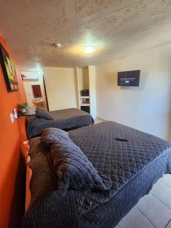 Orange condo - One-Bedroom Apartment