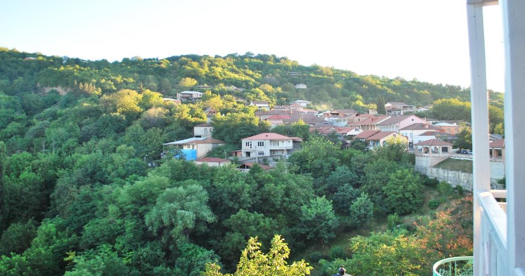 Příroda nedaleko penzionu