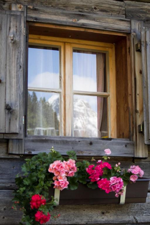 Zahrada ubytování Alpengasthof Zollwirt
