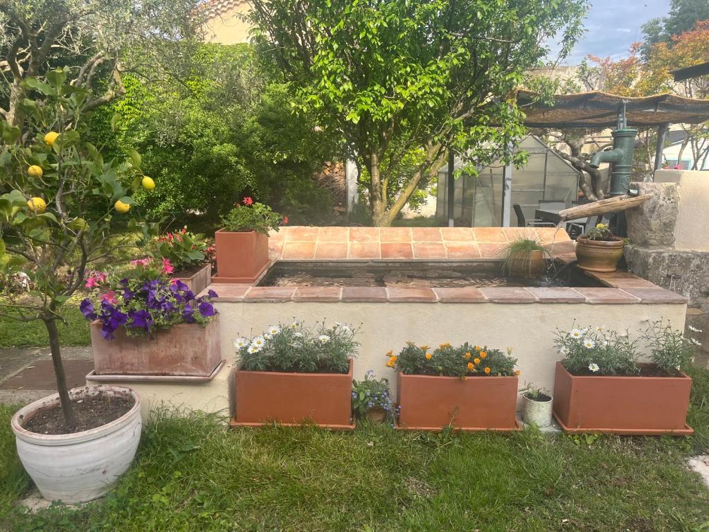 Zahrada ubytování Maison en Provence