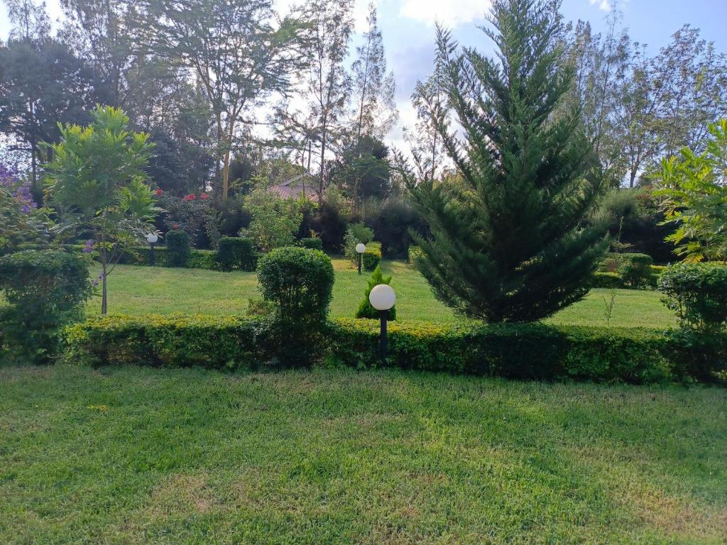 a garden with a bird bath in the grass at The kioka gardens with Wifi and parking in Nanyuki