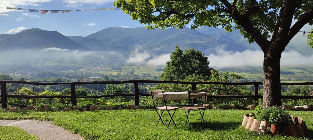 un banco sentado bajo un árbol con vistas a las montañas en Tana Libera Tutti 2 Nature, Yourself, Love, en Viggianello