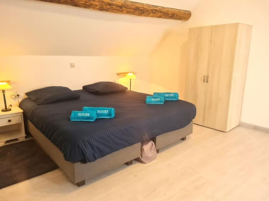 a bedroom with a large bed with two blue pillows at appartement atypique en triplex in Luze