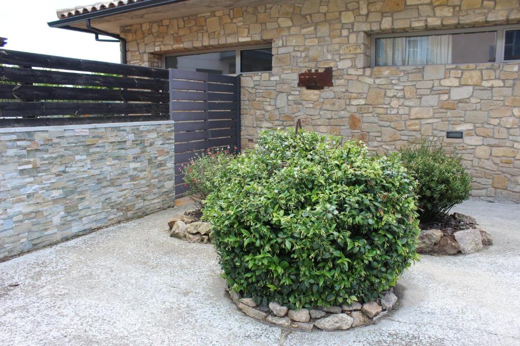 Vall Farfanya - Three-Bedroom Apartment