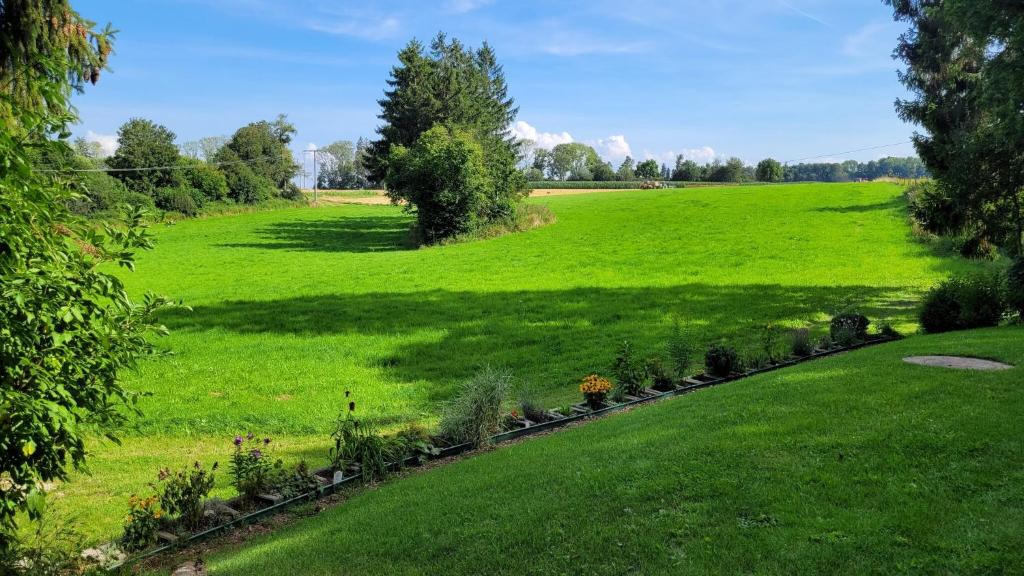 a large green field with flowers in a garden at Bienenhaus in Dornhan