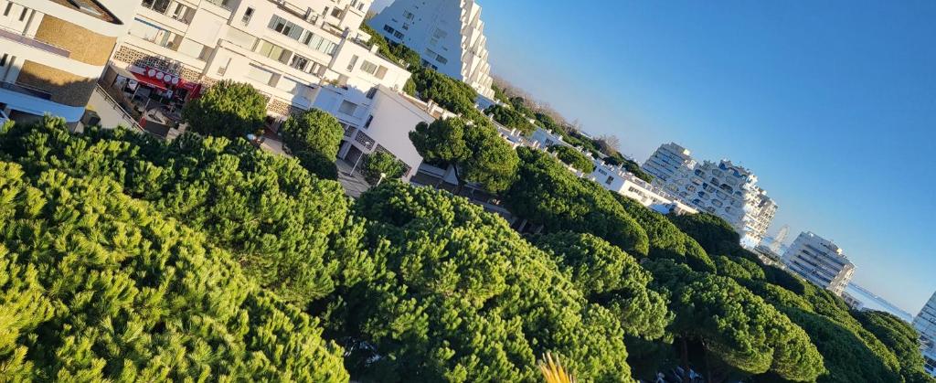 un immeuble situé au sommet d'une colline plantée d'arbres dans l'établissement L'angle Panorama 180, à La Grande Motte