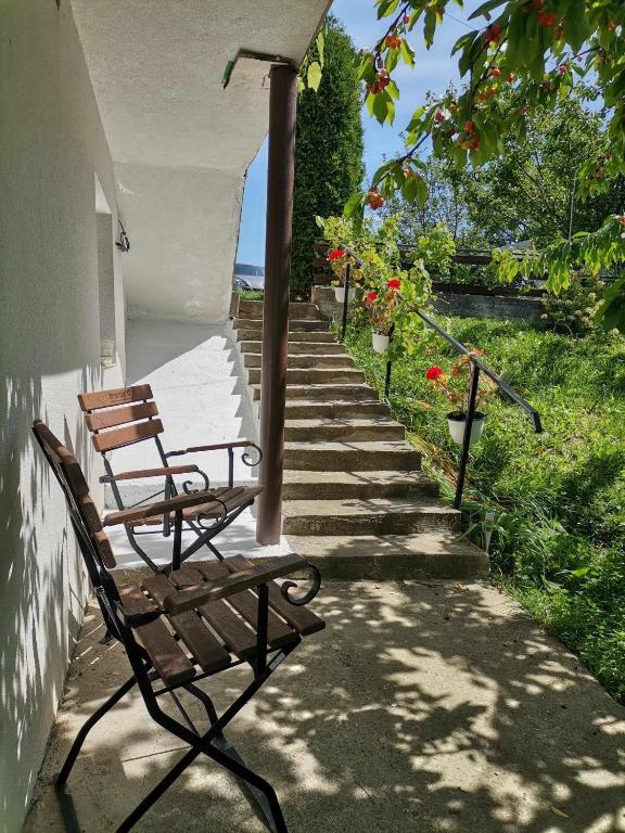 Zahrada ubytování Casa Anca
